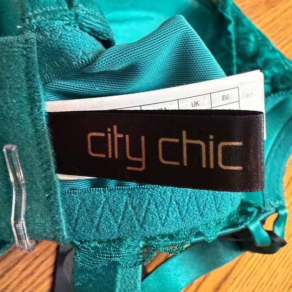 Elegant Emerald green Lace Trim Bra Ladies Size 42C NEW - Picture 5 of 10